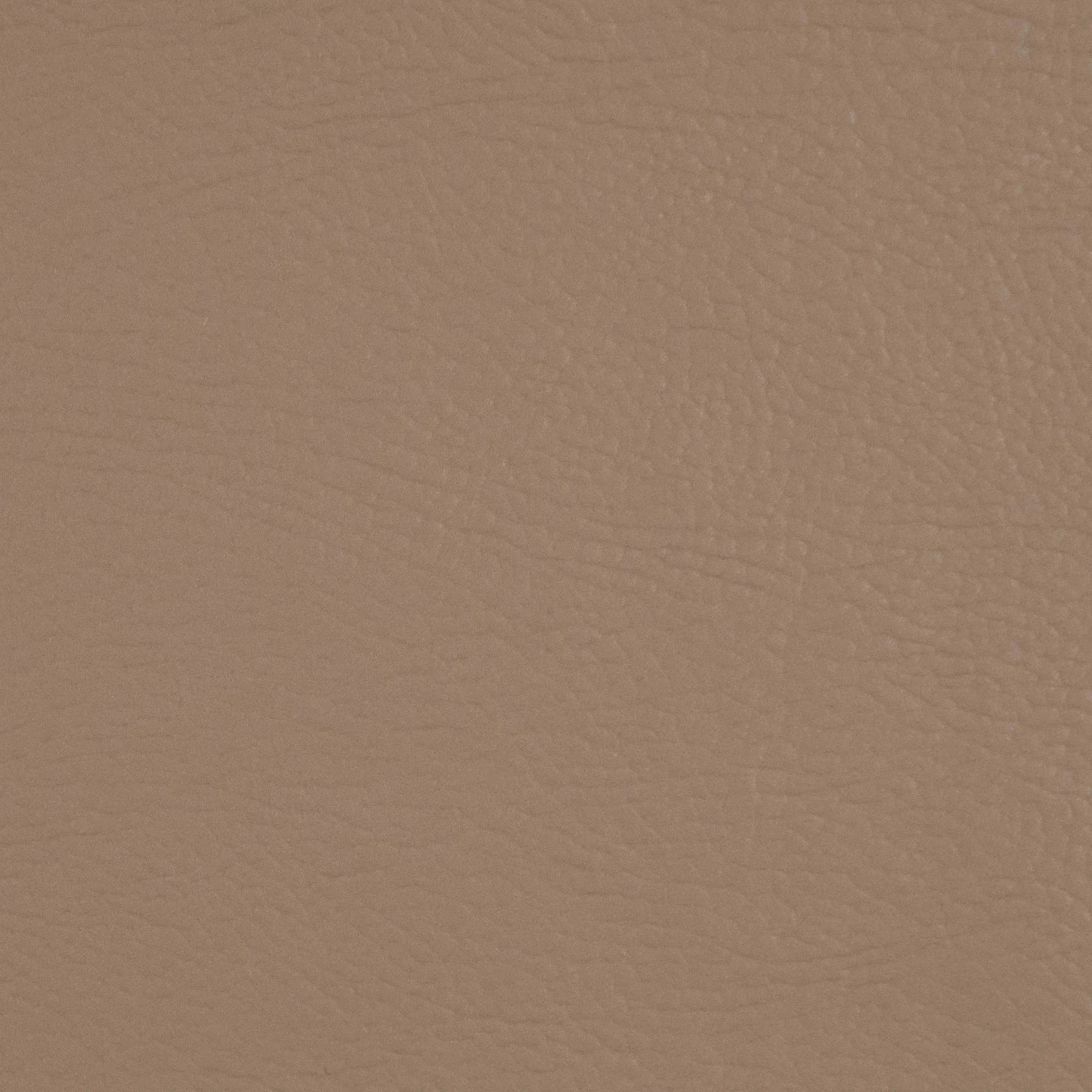 CORANO SAVANA COD 2173 - MT