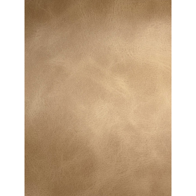 ZURIQUE COR 59 DAKOTA CAMURCA - MT