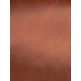 ZURIQUE COR 62 DAKOTA BRONZE - MT