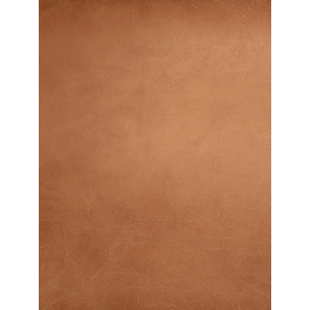 ZURIQUE COR 66 ATACAMA GOLDEN - MT